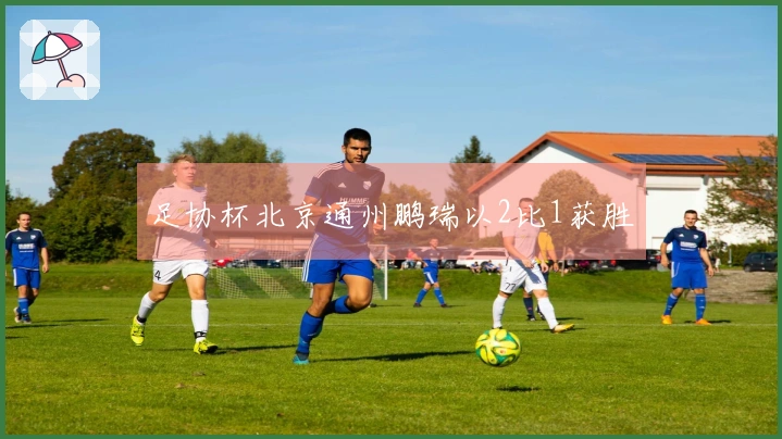 足协杯北京通州鹏瑞以2比1获胜